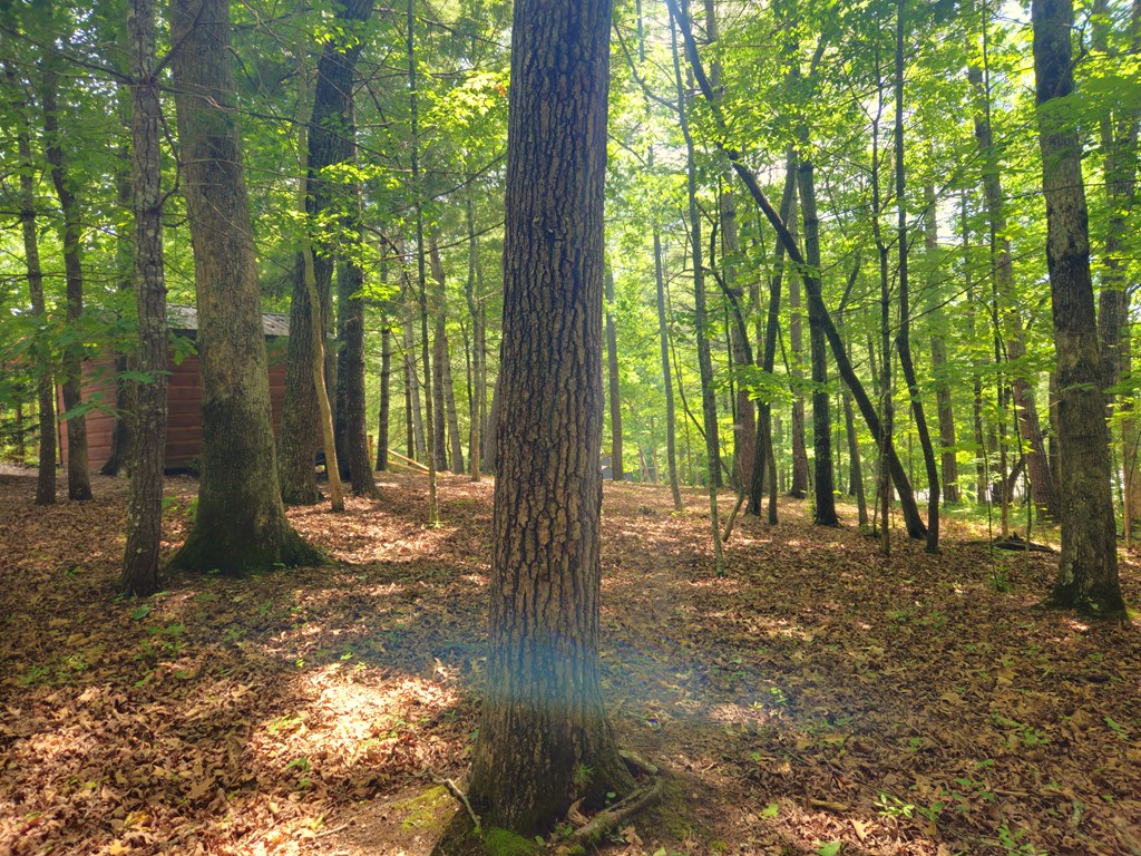 211 Winding Brook Trail Property Photo 83