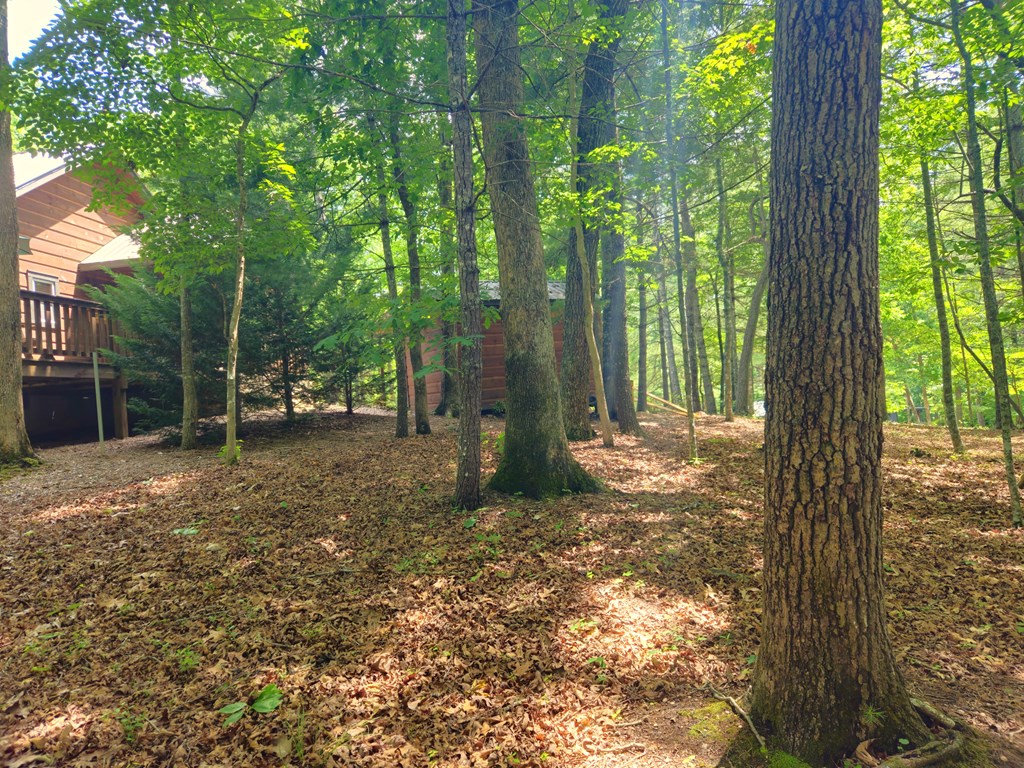 211 Winding Brook Trail Property Photo 84