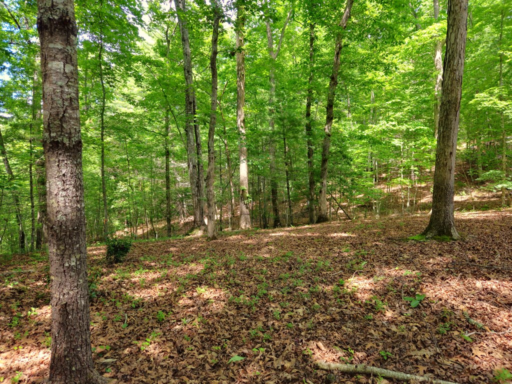 211 Winding Brook Trail Property Photo 85