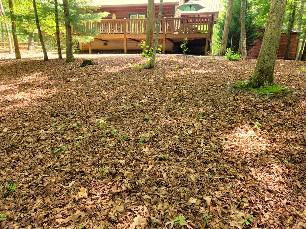 211 Winding Brook Trail Property Photo 87