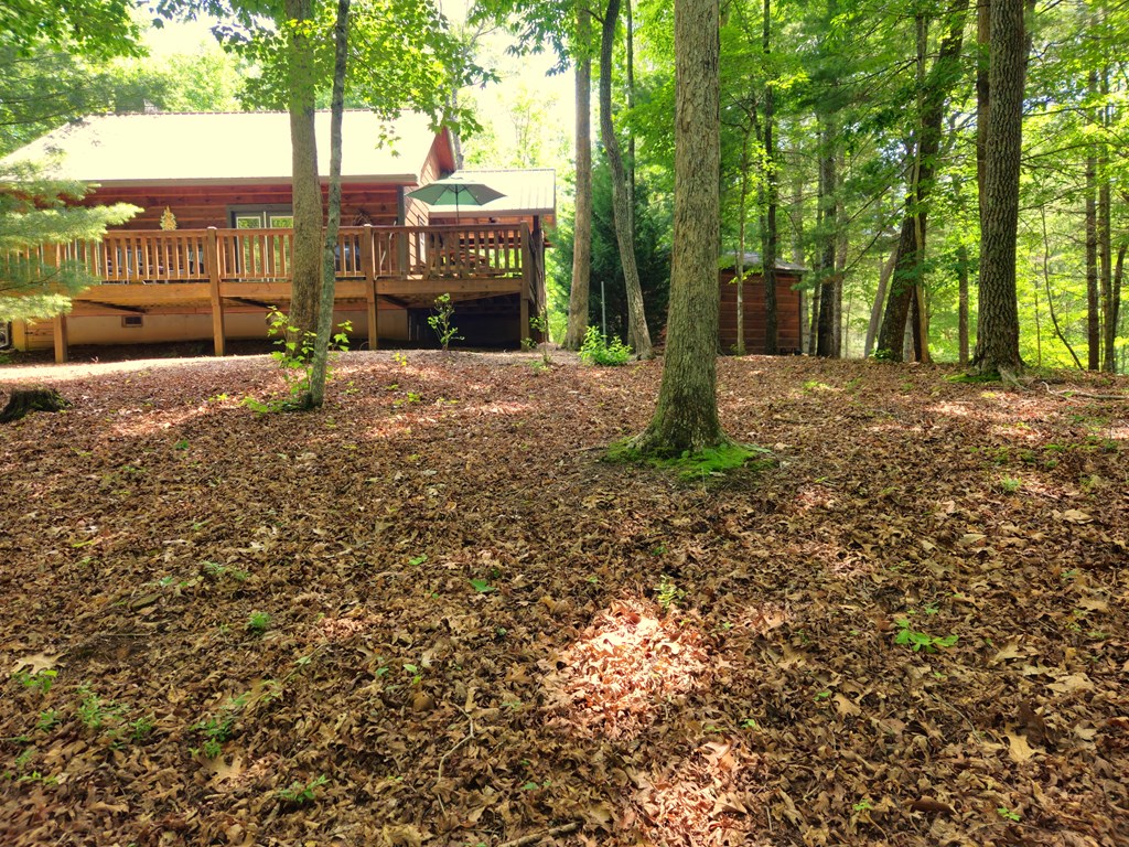 211 Winding Brook Trail Property Photo 88