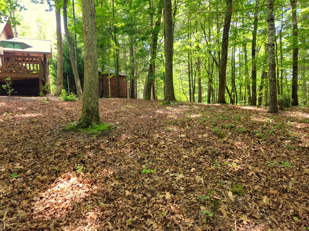 211 Winding Brook Trail Property Photo 89