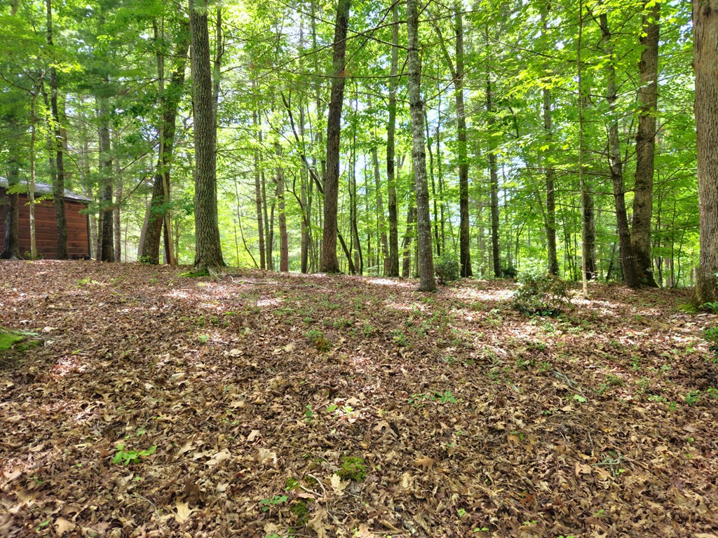 211 Winding Brook Trail Property Photo 90