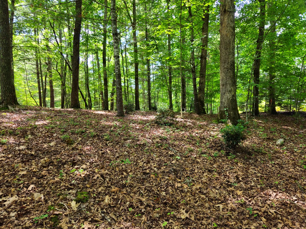 211 Winding Brook Trail Property Photo 91
