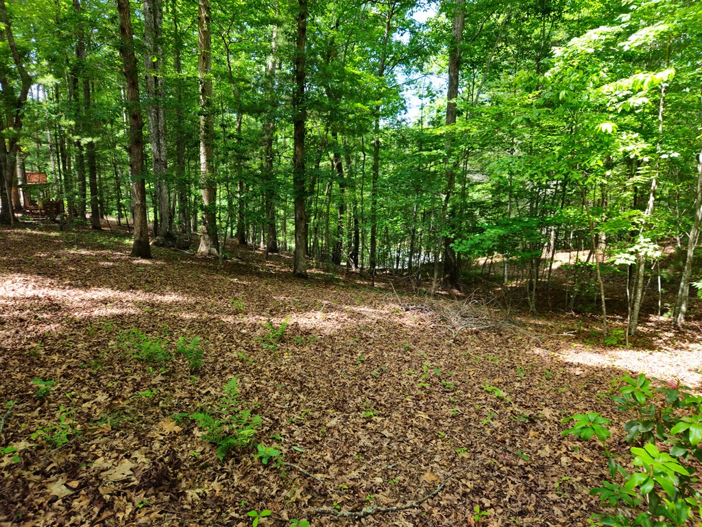 211 Winding Brook Trail Property Photo 92
