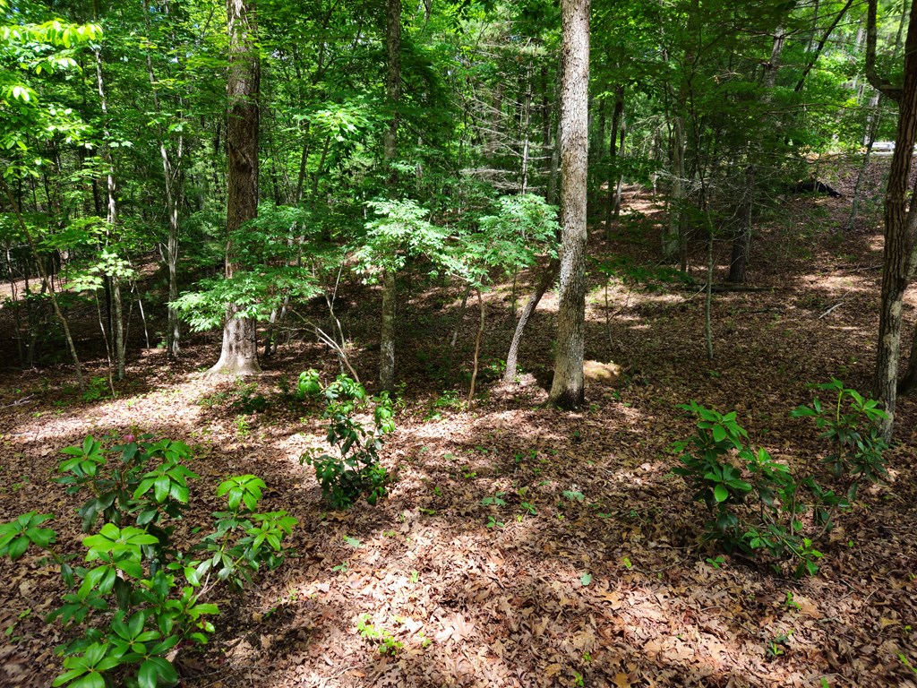 211 Winding Brook Trail Property Photo 93