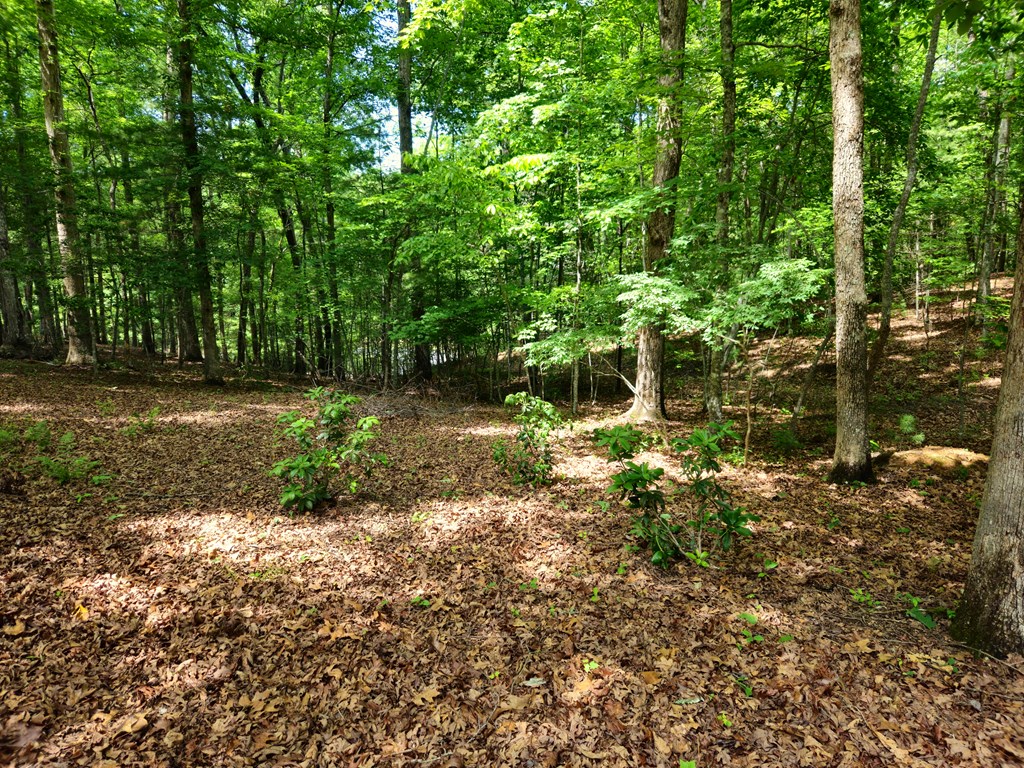 211 Winding Brook Trail Property Photo 94