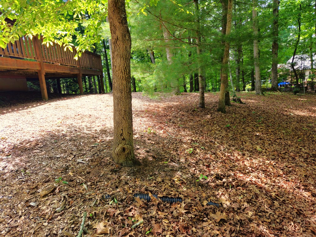 211 Winding Brook Trail Property Photo 95