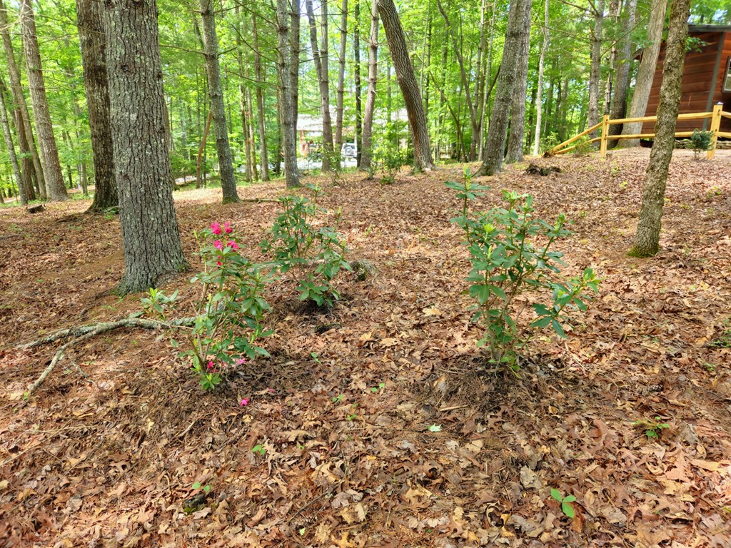 211 Winding Brook Trail Property Photo 96