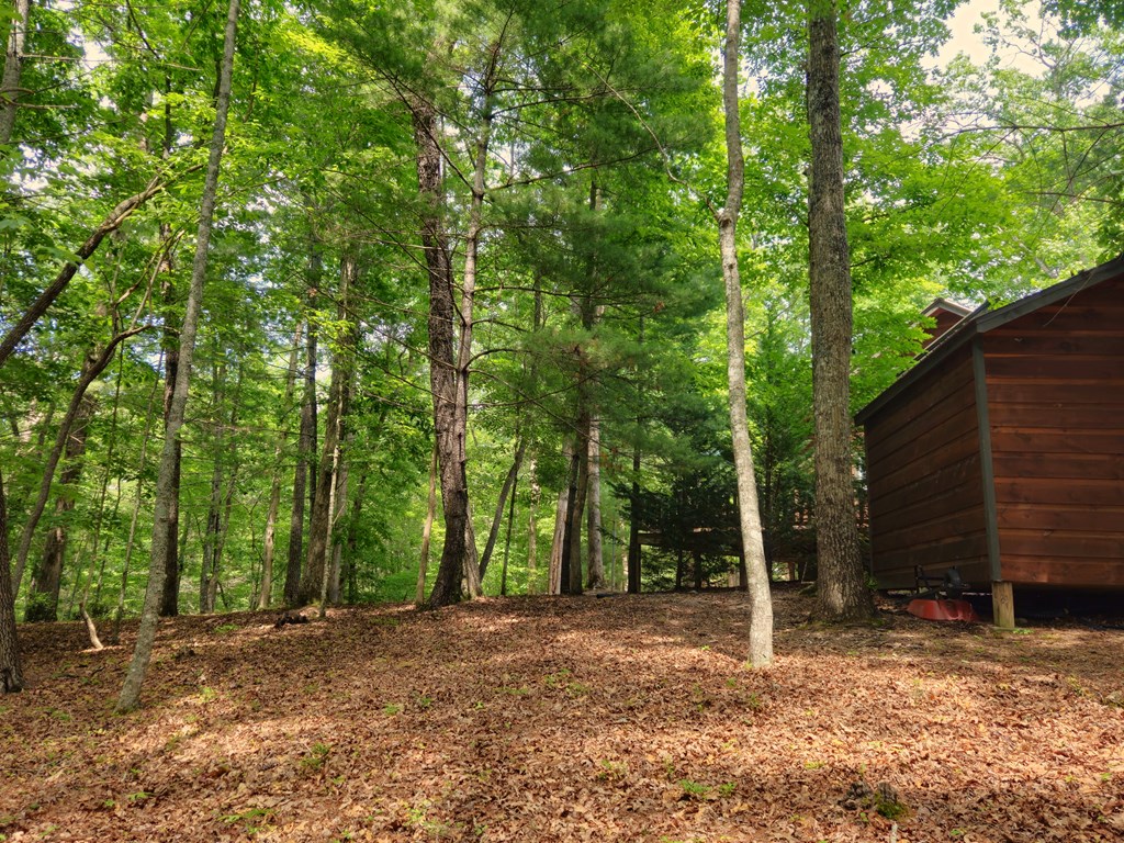 211 Winding Brook Trail Property Photo 97