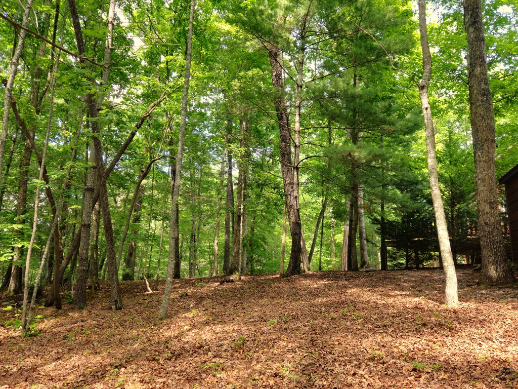 211 Winding Brook Trail Property Photo 98