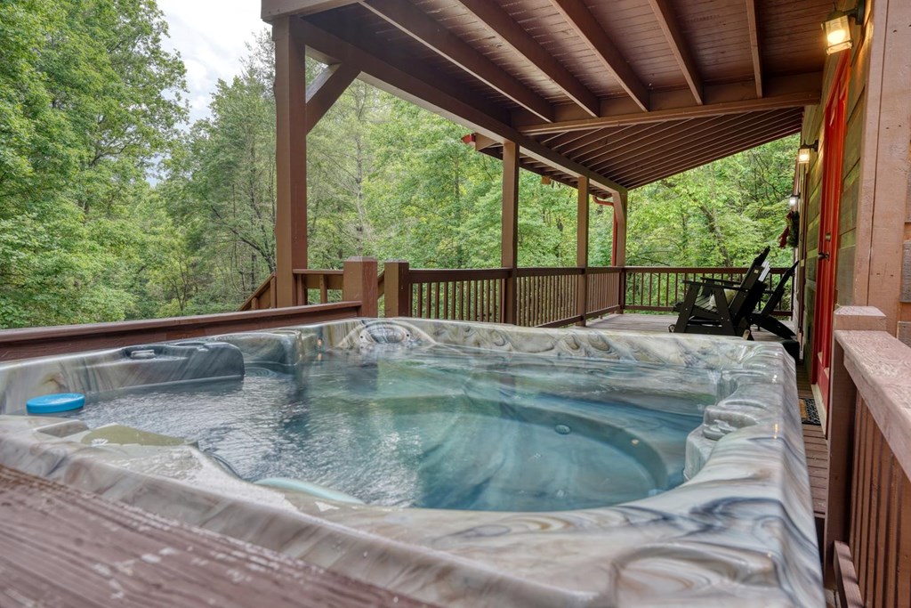 1564 Black Ankle Creek Road Property Photo 33
