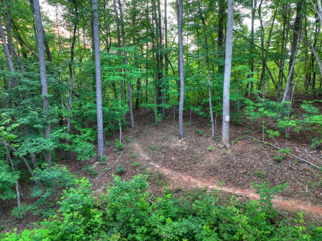 270 Wild Oaks Way Property Photo 46