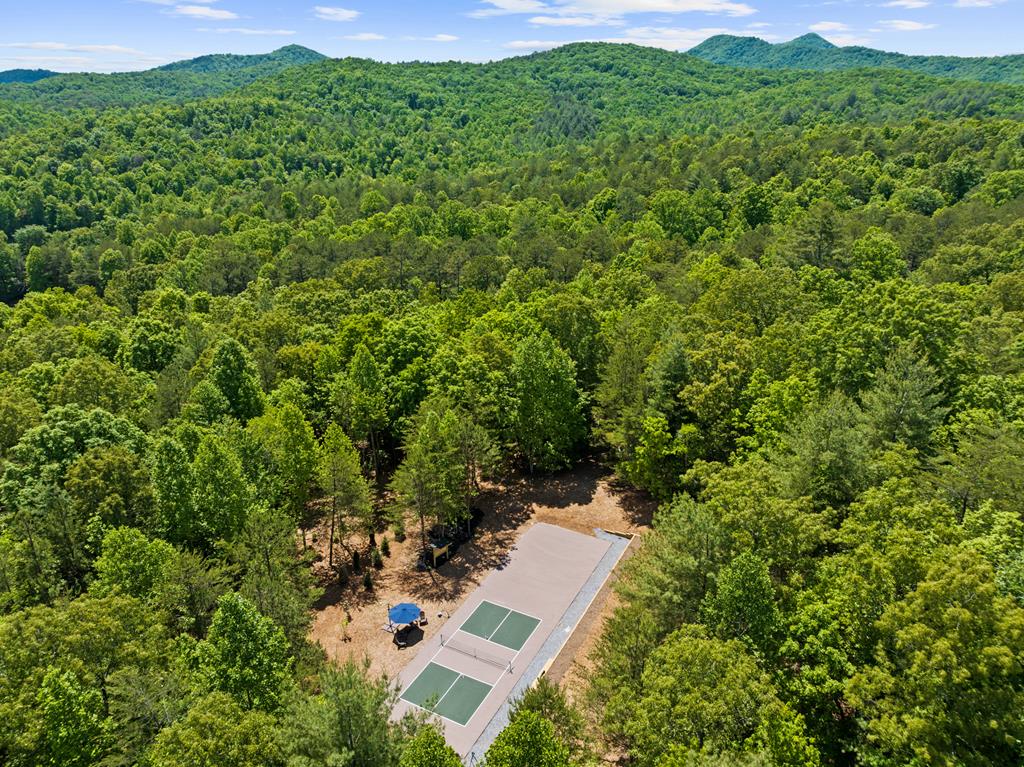 119 Brannon Ridge Property Photo 22