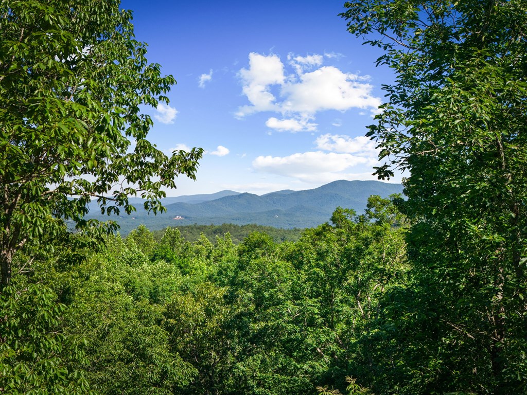 169 Walnut Mountain Road Property Photo 2