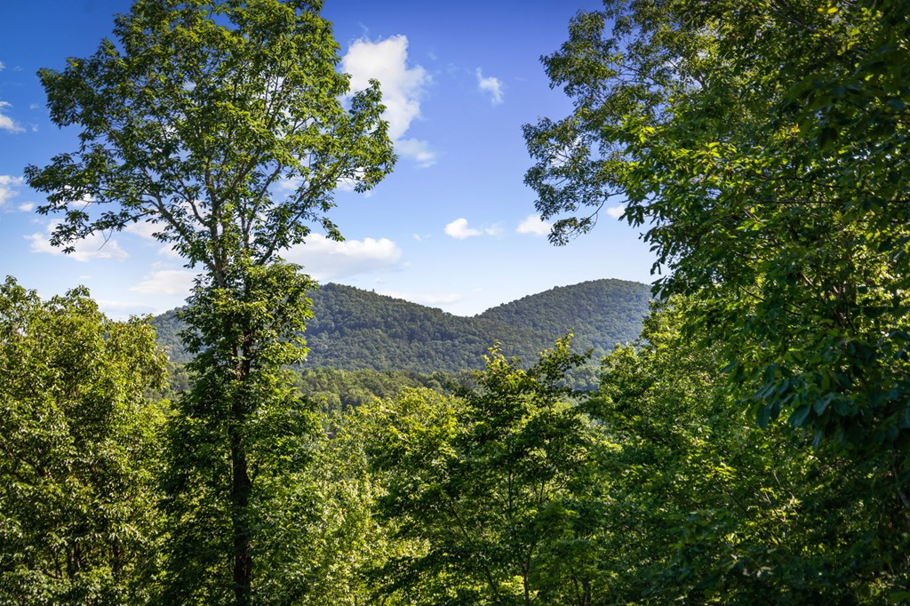 169 Walnut Mountain Road Property Photo 18