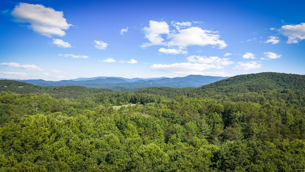 169 Walnut Mountain Road Property Photo 34