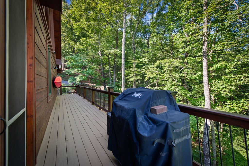 169 Walnut Mountain Road Property Photo 42