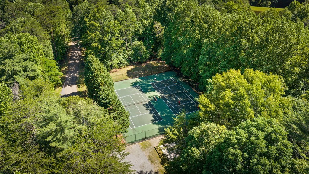 169 Walnut Mountain Road Property Photo 58