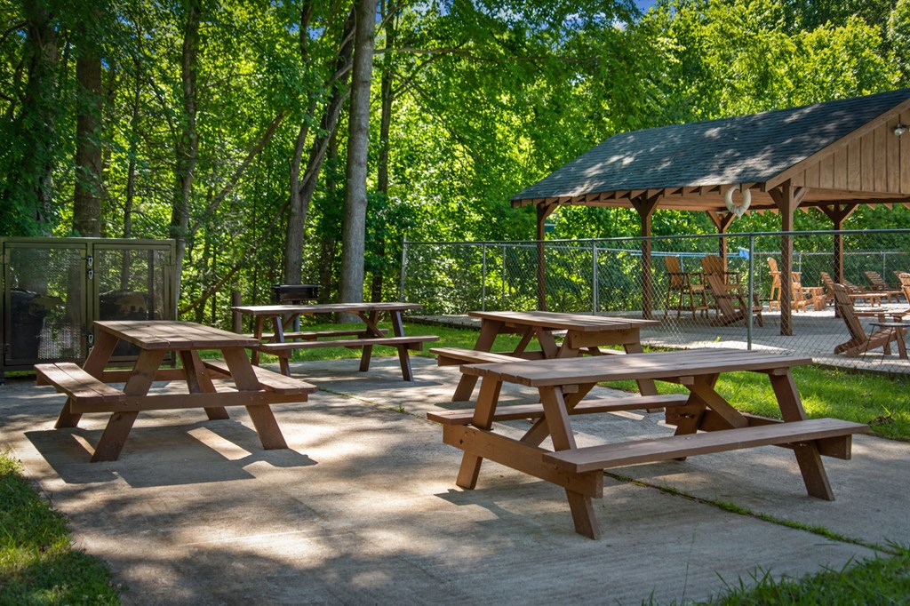 169 Walnut Mountain Road Property Photo 64