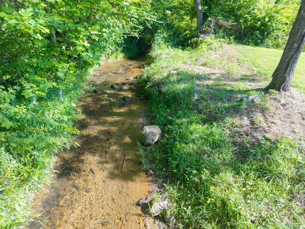 1358 Brasstown Ck Meadows Property Photo 2