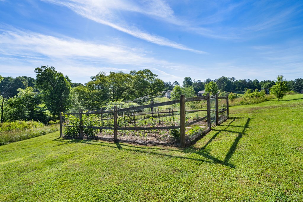 1358 Brasstown Ck Meadows Property Photo 32