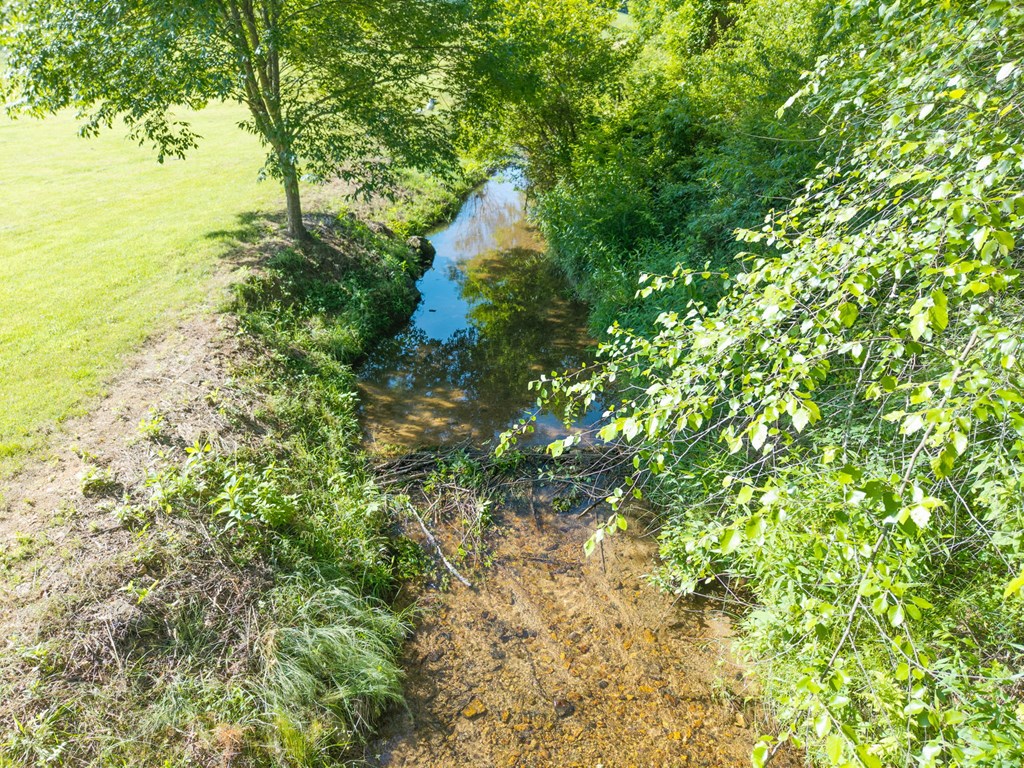 1358 Brasstown Ck Meadows Property Photo 33