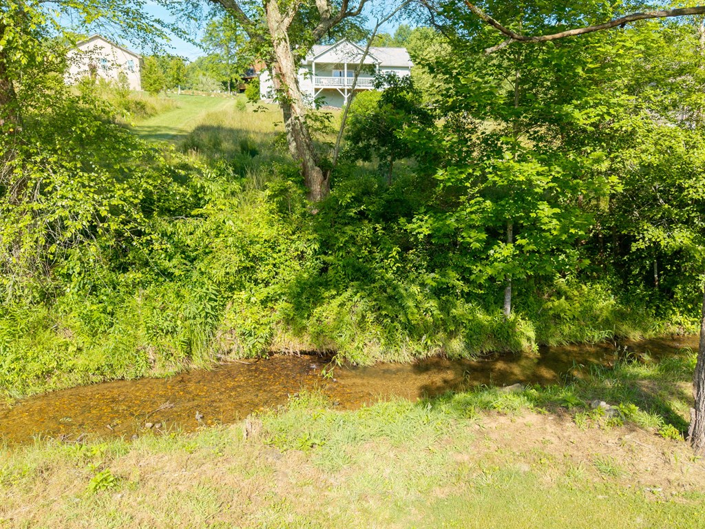 1358 Brasstown Ck Meadows Property Photo 34