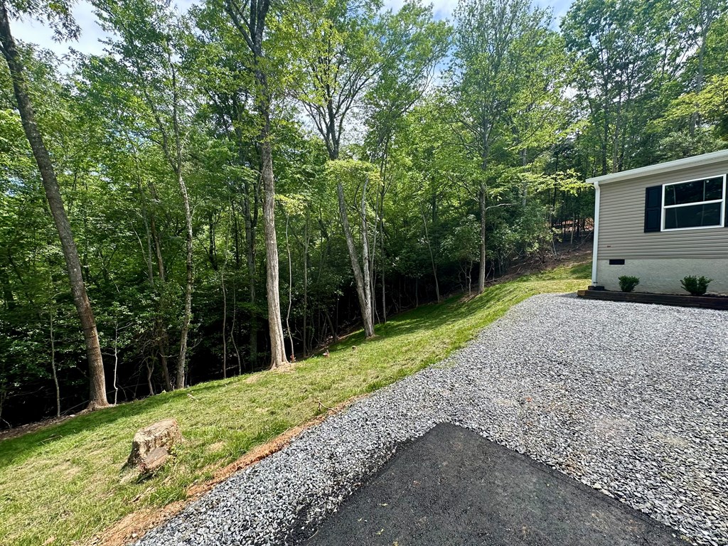 101 Sawyer Ridge Lane Property Photo 23