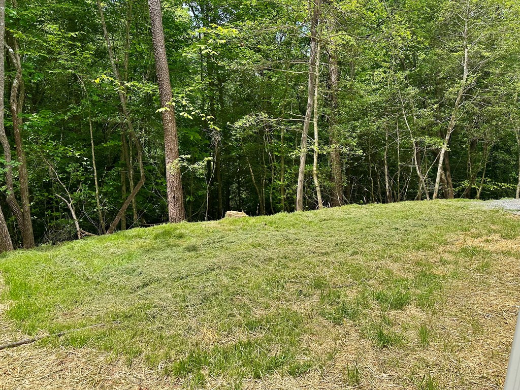 101 Sawyer Ridge Lane Property Photo 33