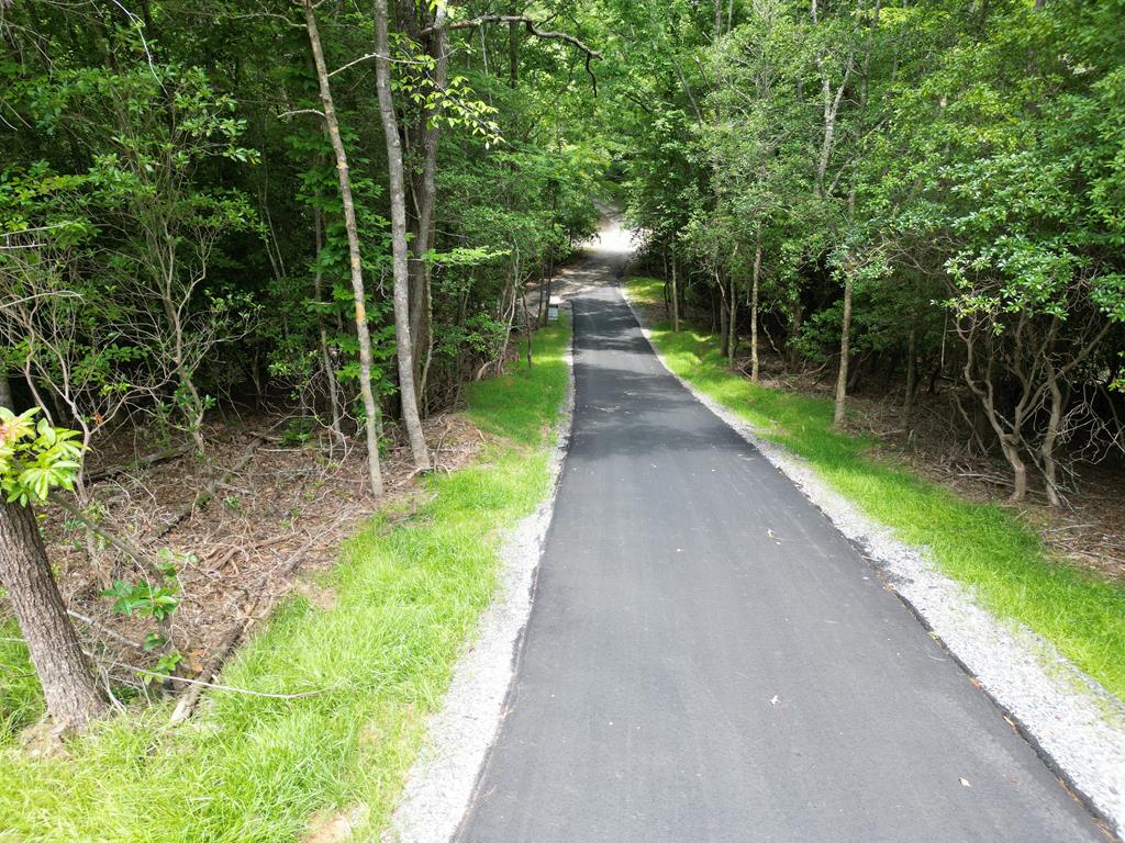 101 Sawyer Ridge Lane Property Photo 35