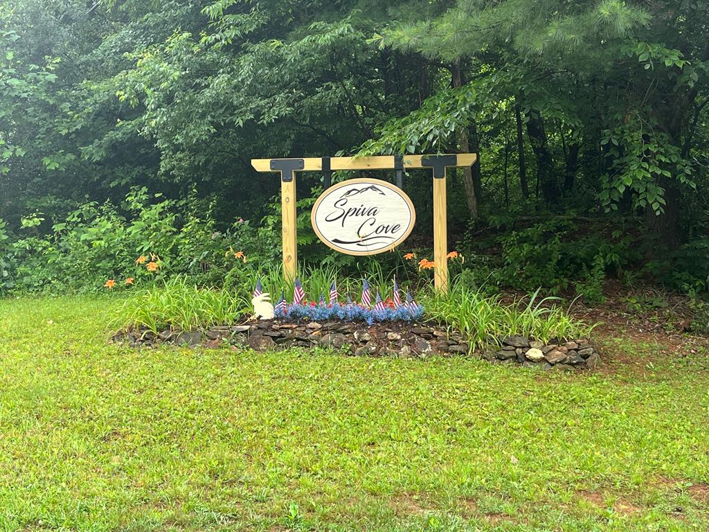 1 Ac Spiva Cove Circle Property Photo 3