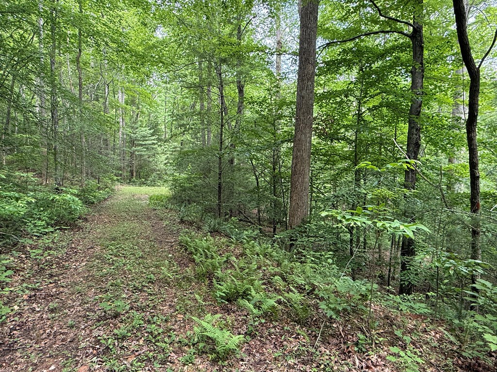 1 Ac Spiva Cove Circle Property Photo 4