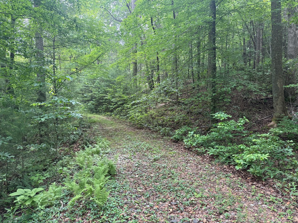 1 Ac Spiva Cove Circle Property Photo 5