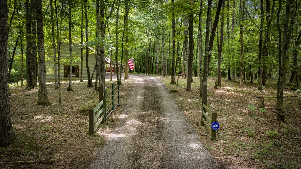 421 Twin Creeks Property Photo 4