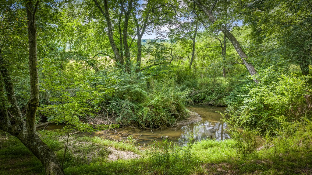 421 Twin Creeks Property Photo 5
