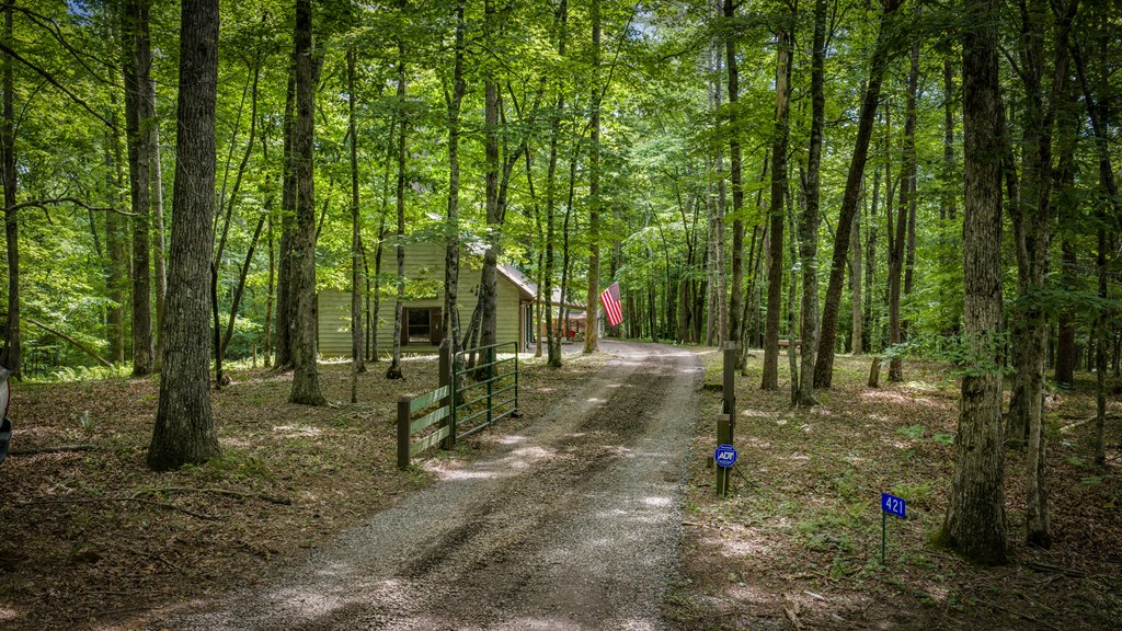 421 Twin Creeks Property Photo 26