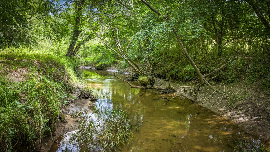 421 Twin Creeks Property Photo 31