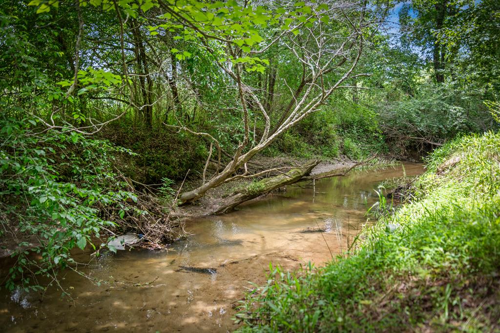 421 Twin Creeks Property Photo 53