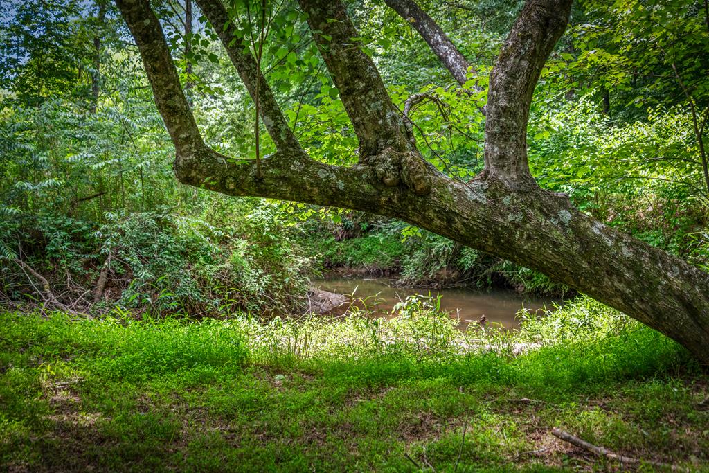 421 Twin Creeks Property Photo 54