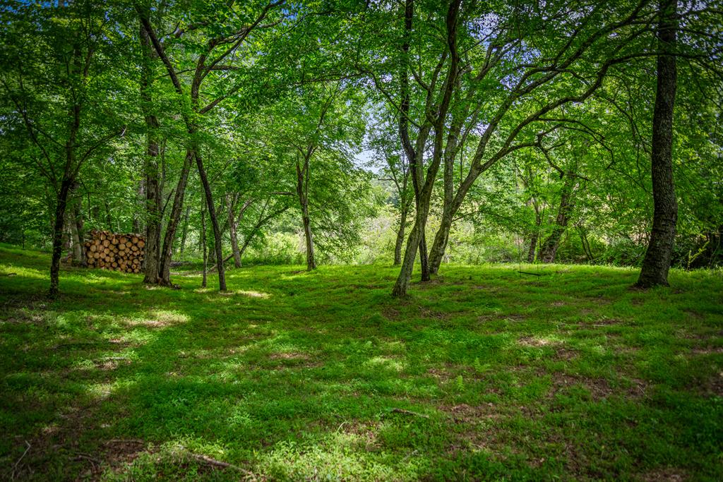 421 Twin Creeks Property Photo 55