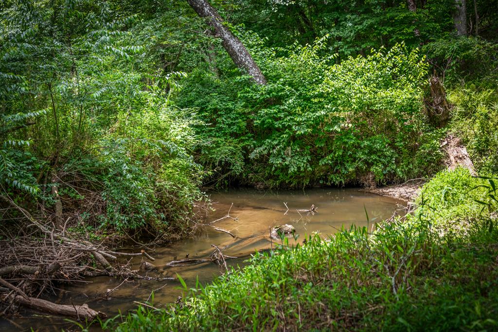 421 Twin Creeks Property Photo 56