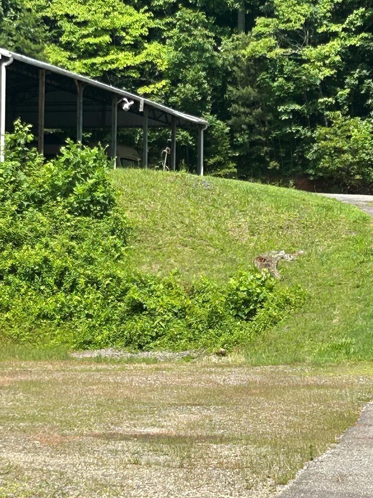 2936 Hwy 175 Property Photo 11