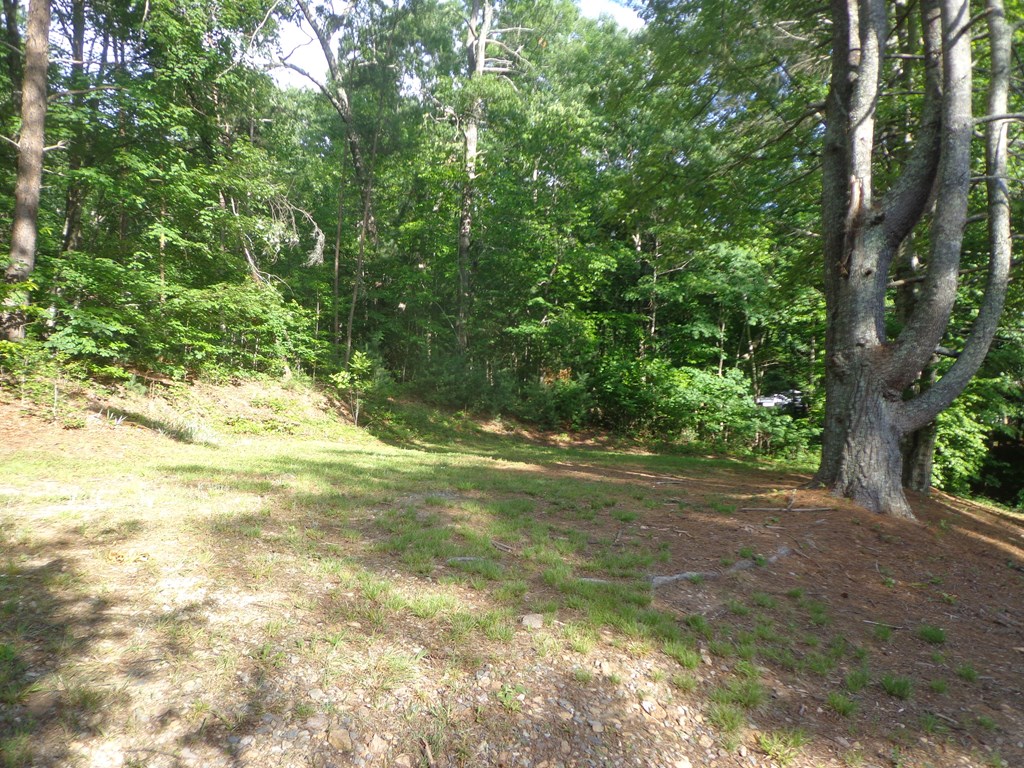 120 Hamby Road Property Photo 6