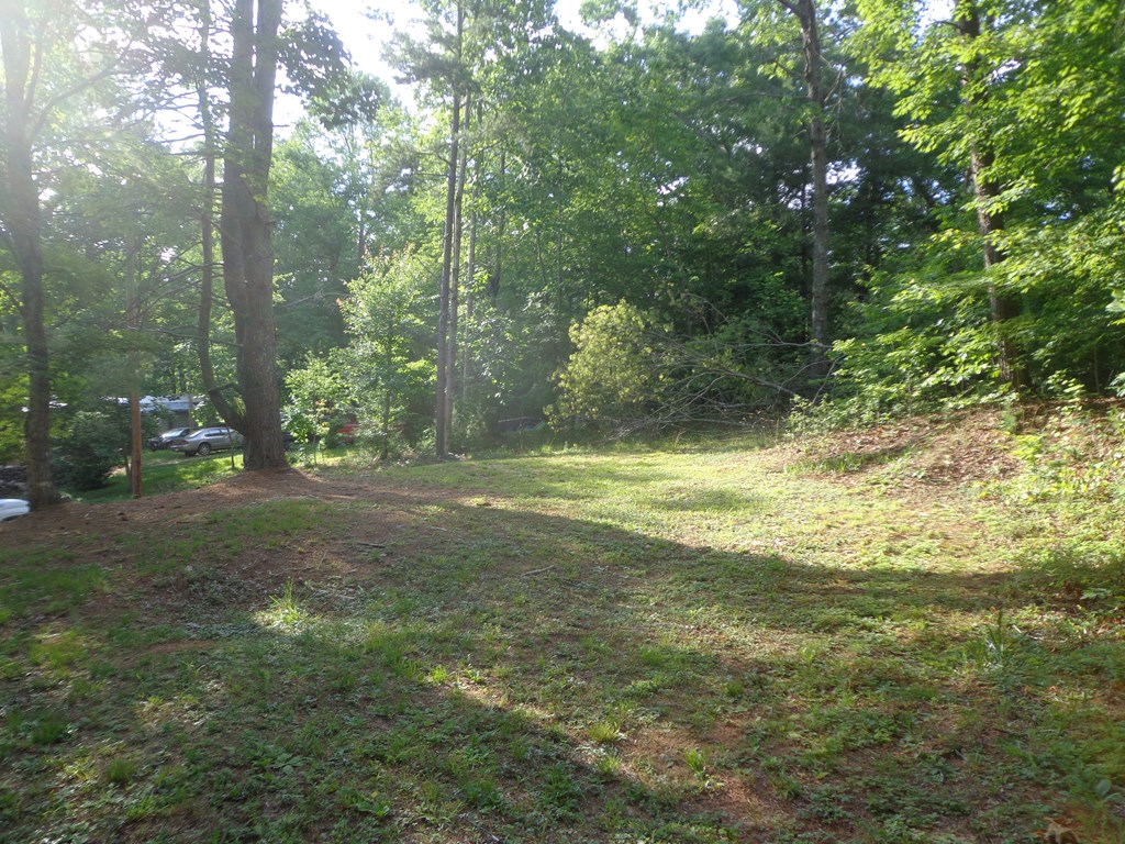 120 Hamby Road Property Photo 7