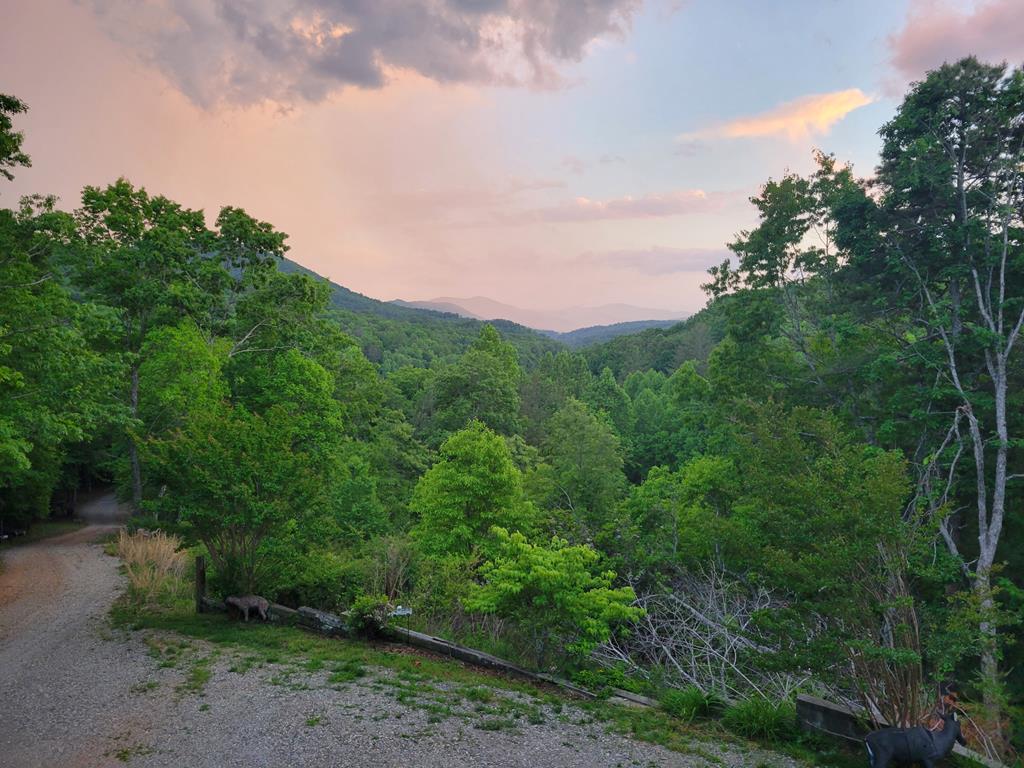 32 Ivey Ridge Property Photo 5