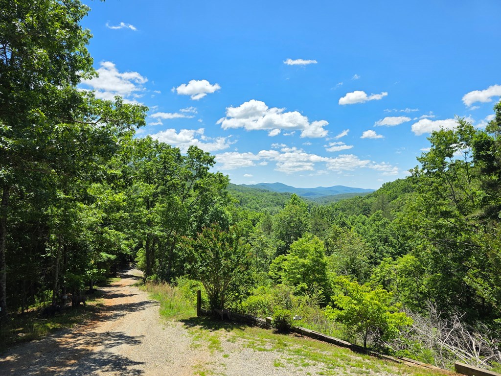 32 Ivey Ridge Property Photo 9