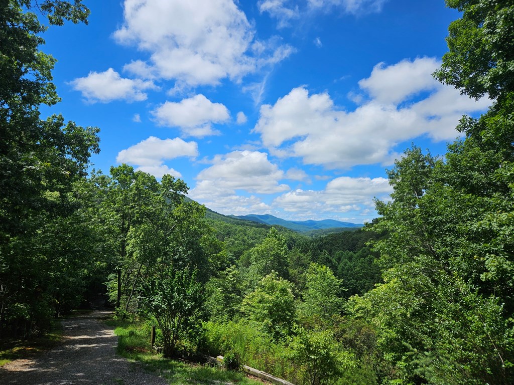 32 Ivey Ridge Property Photo 10