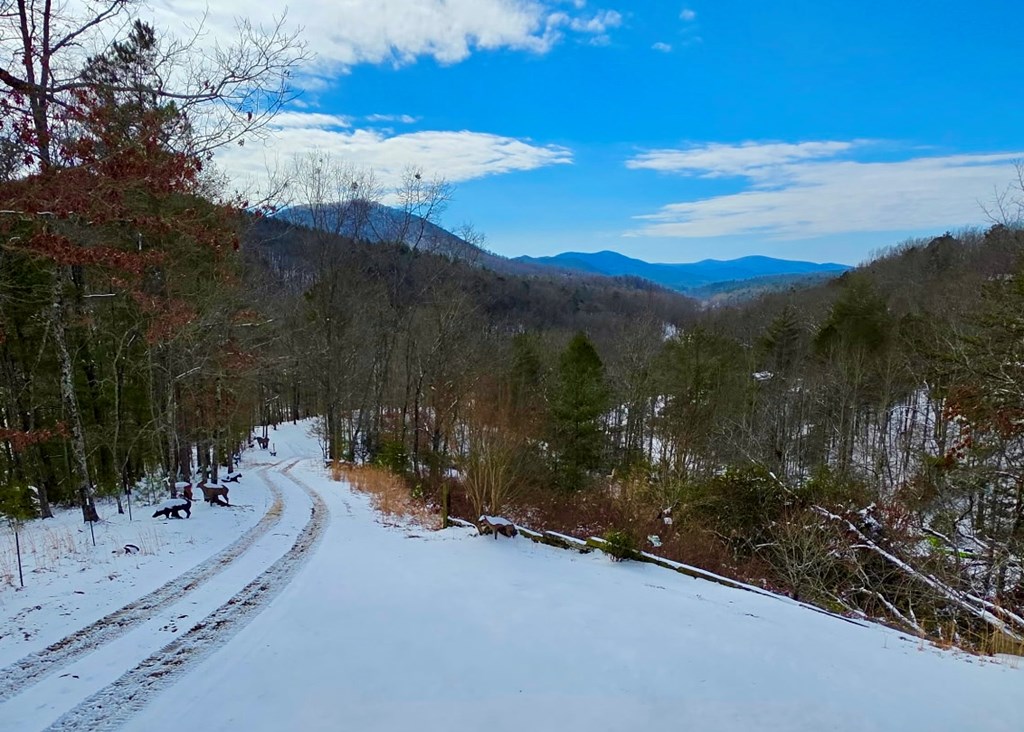 32 Ivey Ridge Property Photo 11