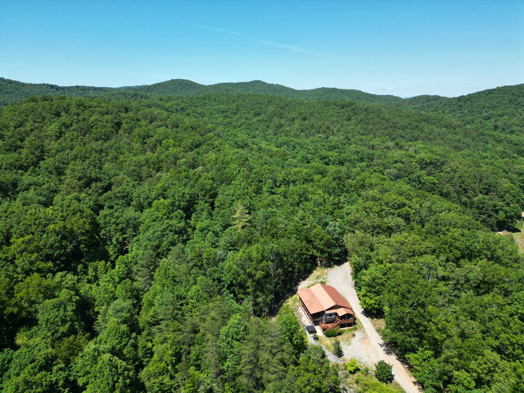 32 Ivey Ridge Property Photo 45